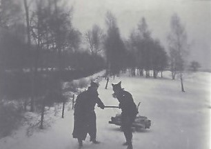 Bois sur la luge